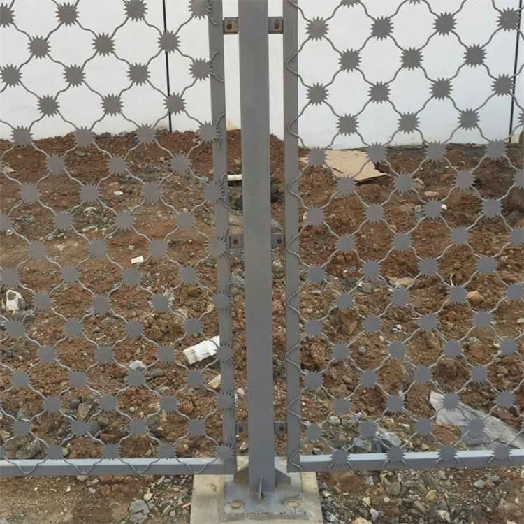 梅花刺防沖隔離網(wǎng)的規(guī)格及安裝案例展示圖片3