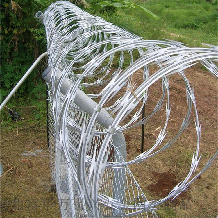 刀片刺網(wǎng)案例展示圖片2 刀片刺網(wǎng)案例展示圖片2