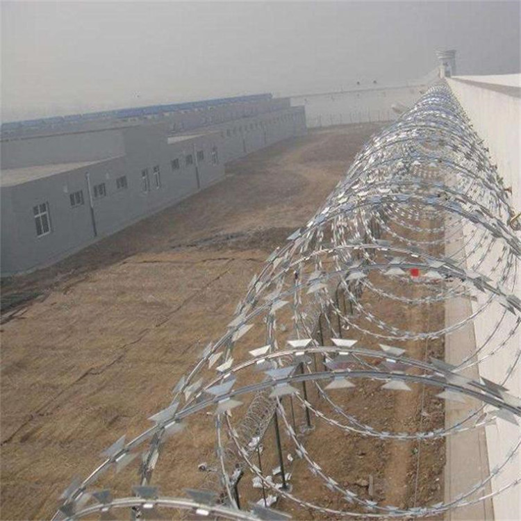 刀片刺網(wǎng)案例展示圖片4 刀片刺網(wǎng)案例展示圖片4