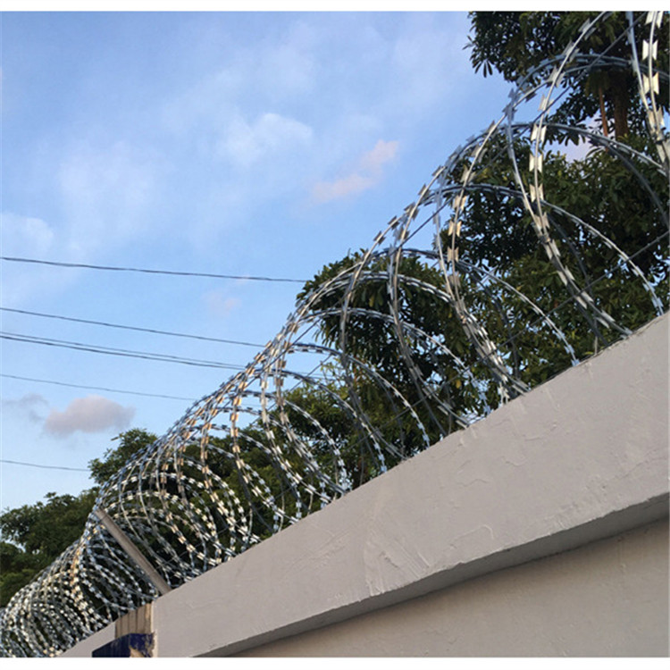 刀刺網案例展示圖片4